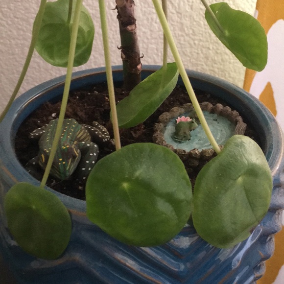 Meet your Posher, Devrim - Picture 1 of 1